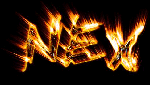 nexklein.gif (8630 Byte)